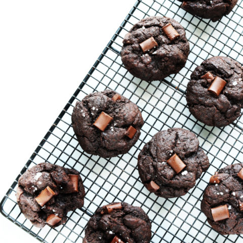 Salted Chocolate Brownie Cookies (vegan, allergy-friendly)