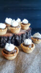Sunbutter Pumpkin Pie Dough