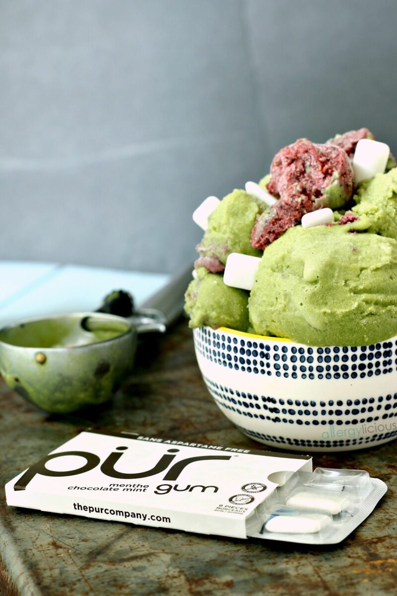 Chocolate Mint Bubblegum Ice Cream Allergylicious