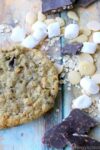 Vegan + Gluten-free Compost Cookies