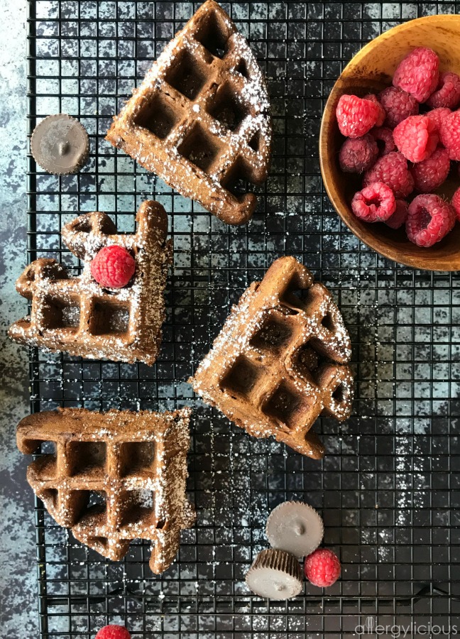 These Double Chocolate Waffles are not only easy to make, but also rich in chocolate-y goodness. All you need are a few allergy-friendly ingredients and they turn out light, fluffy & scrumptious! Truly one of our favorite Vegan & gluten-free waffle recipes! #glutenfree #vegan #allergyfriendly #dairyfree #chocolate #waffles