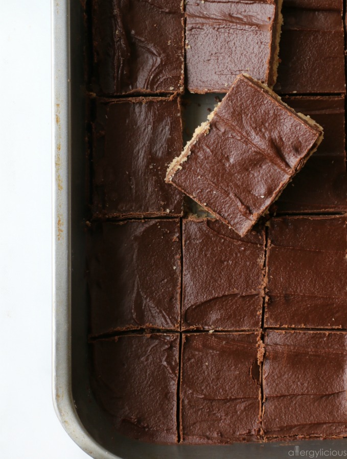 Delight your taste buds with this Chocolate SunButter bar 