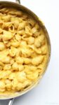 Creamy, vegan mac and cheese