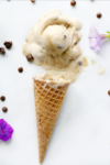 chocolate chip ice cream