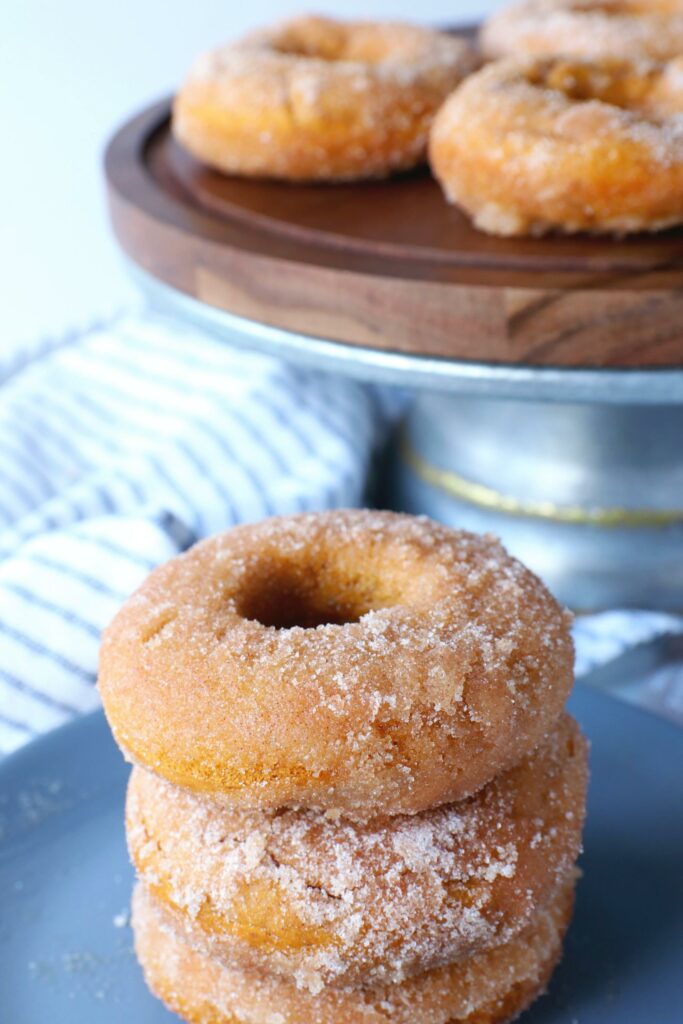 cinnamon sugar pumpkin donuts 2