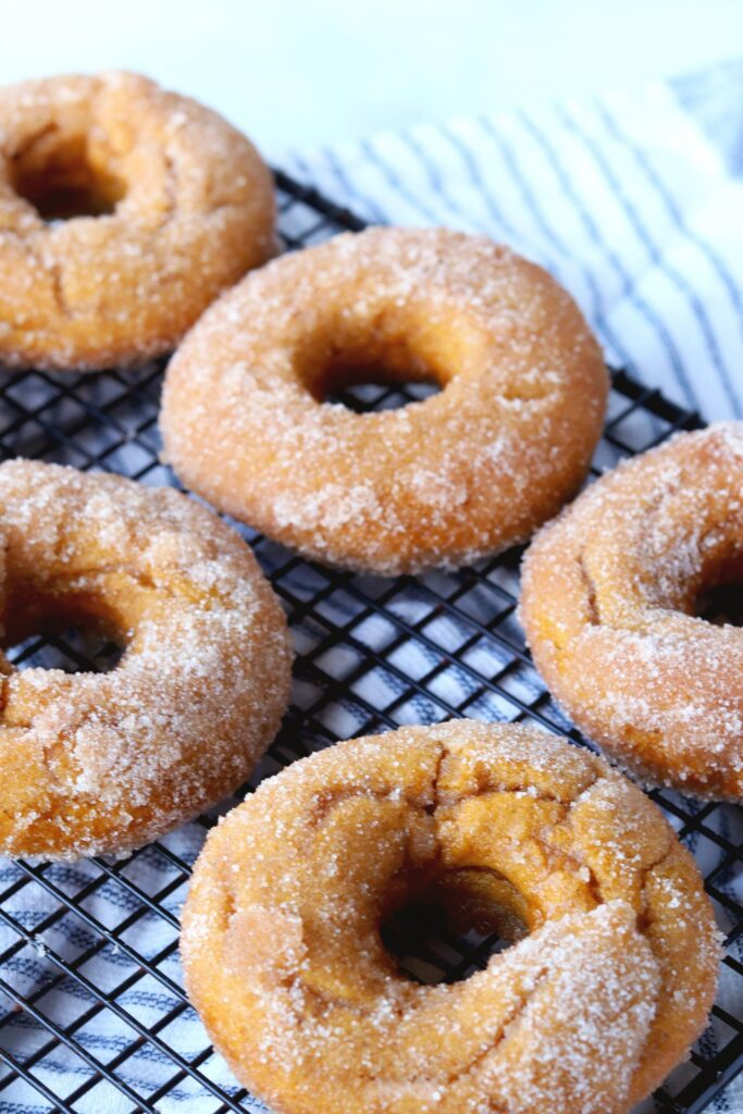 sugar coated pumpkin donuts