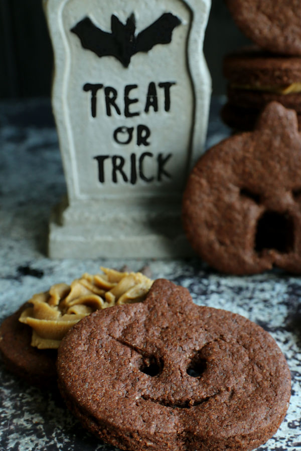 sneaky pumpkin chocolate sandwich cookies