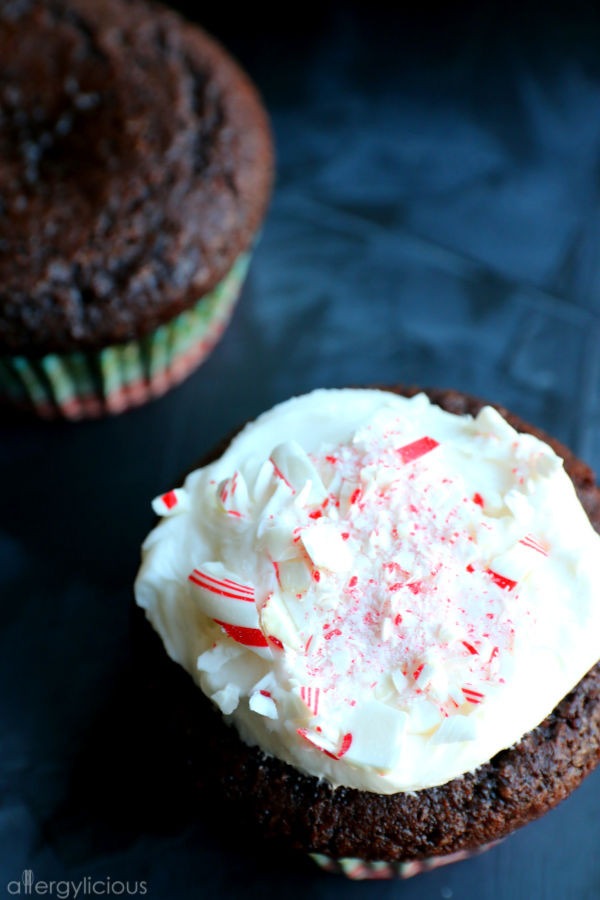 Dark Chocolate Cupcakes 