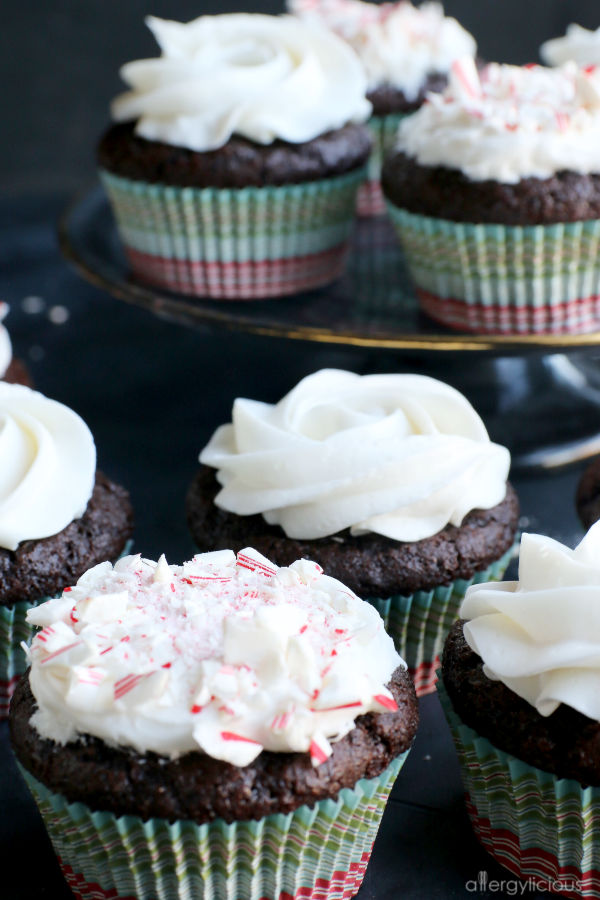 Dark Chocolate Cupcakes 