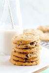 pretty vegan chocolate chip cookies