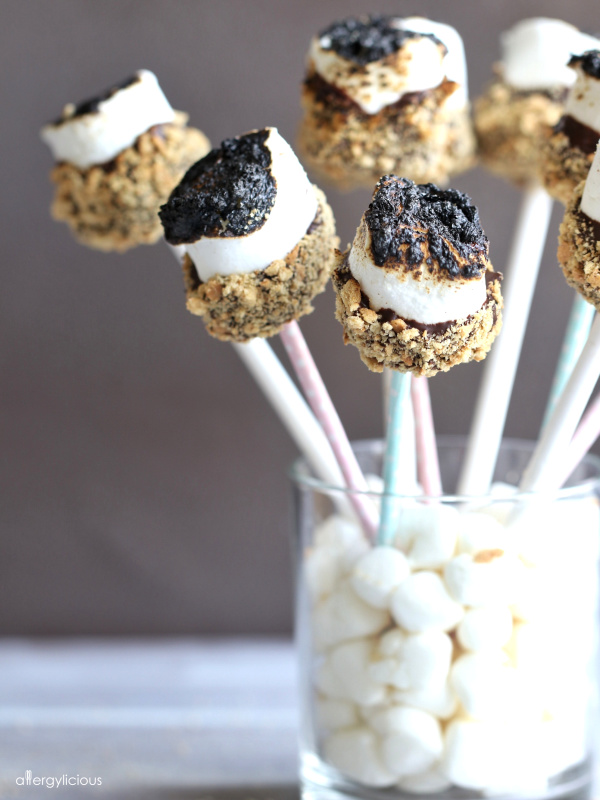 cute & tasty s'mores pops