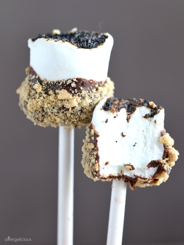 delicious vegan s'mores pop