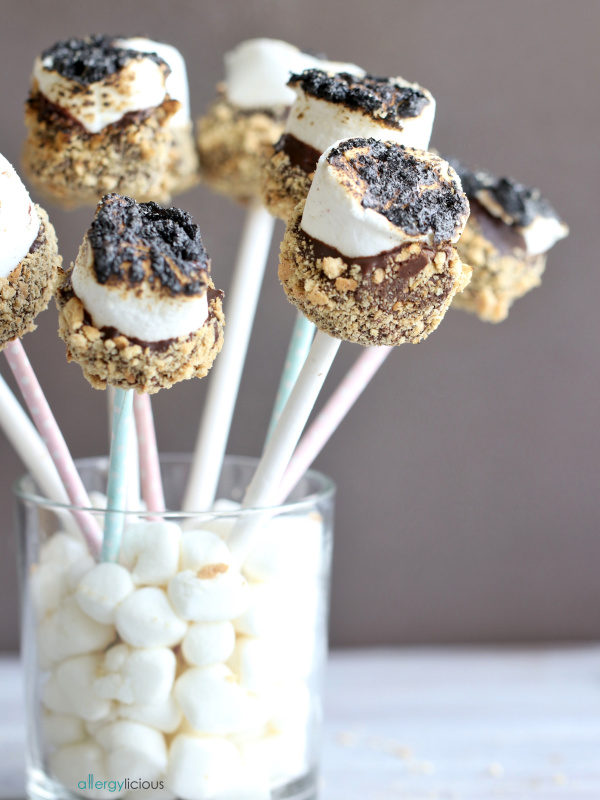 Campfire S'Mores Cake Pops Recipe