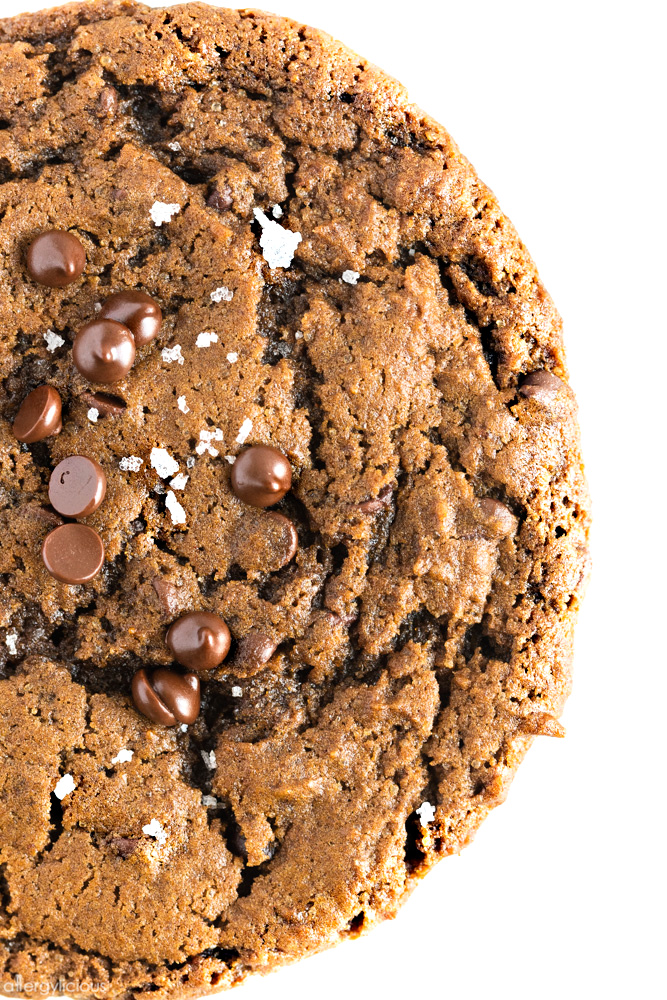 top view of chocolate chip pumpkin cookies