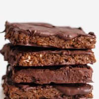 Vegan Chocolate Protein Bars (GF,NF)