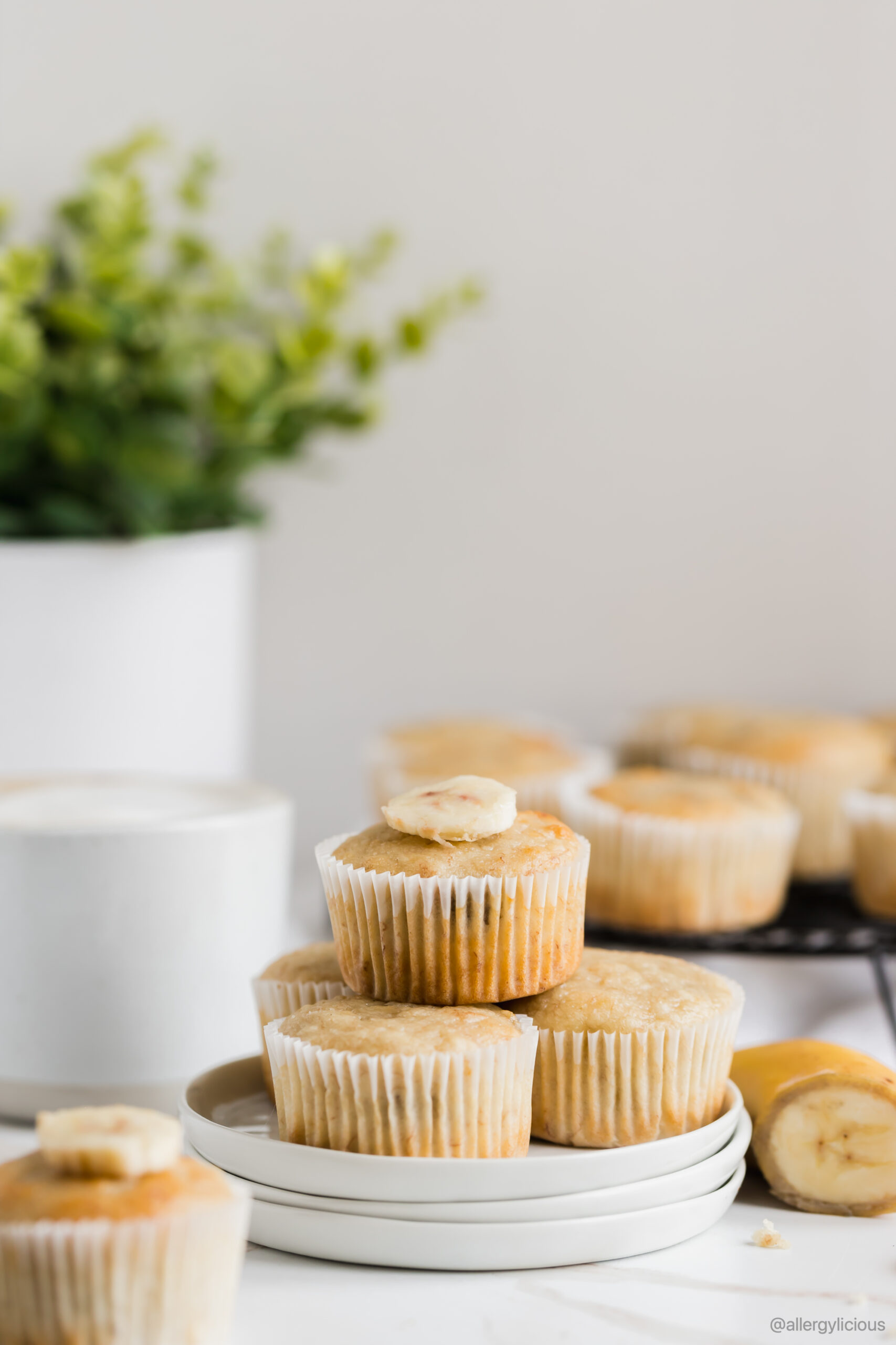 Easy and Delicious Vegan Banana Muffin Recipe Allergylicious