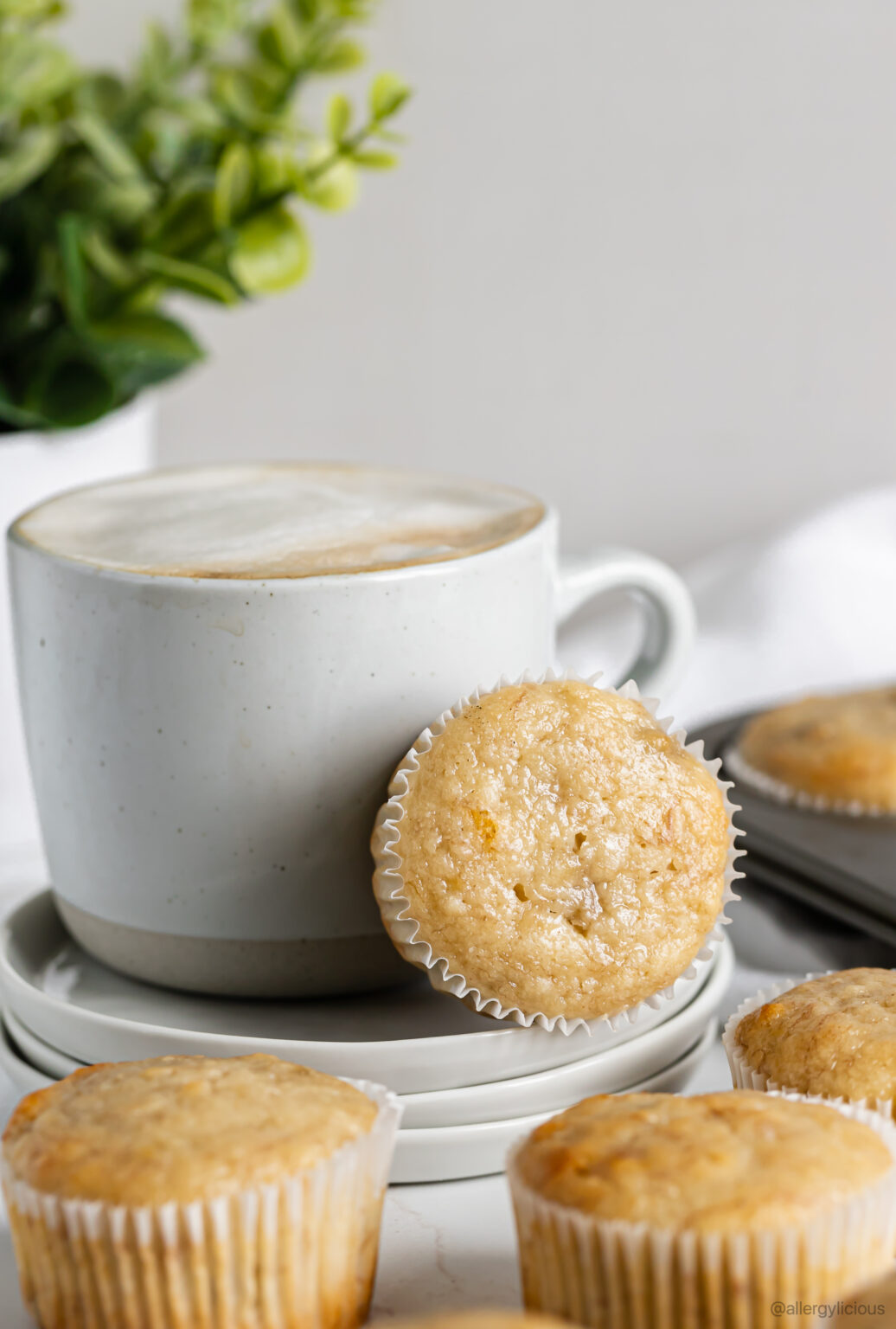 Easy and Delicious Vegan Banana Muffin Recipe Allergylicious